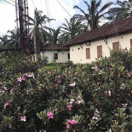 Palm Garden House Hotel Quang Tri Bagian luar foto