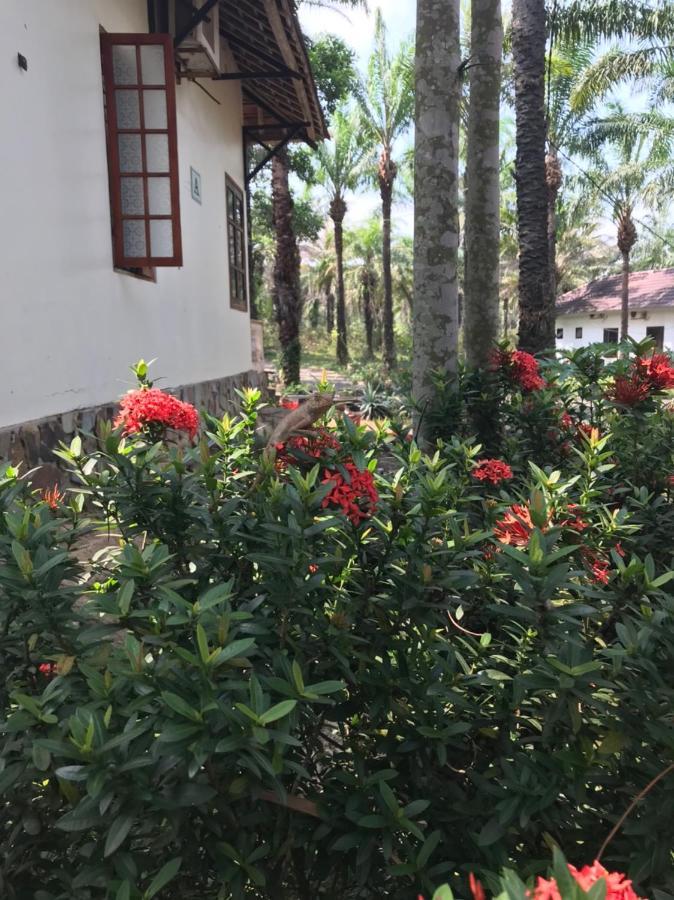 Palm Garden House Hotel Quang Tri Bagian luar foto