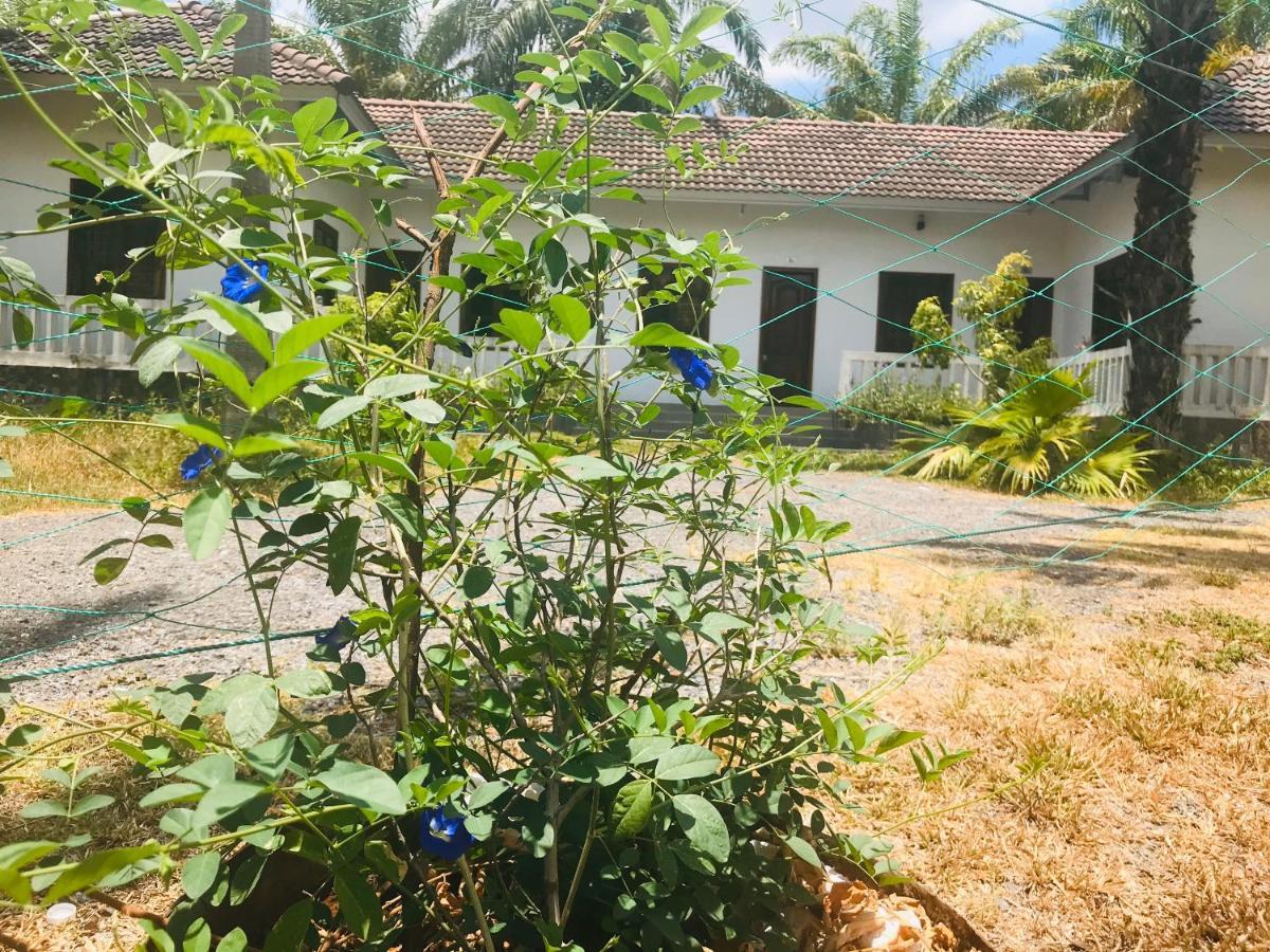 Palm Garden House Hotel Quang Tri Bagian luar foto