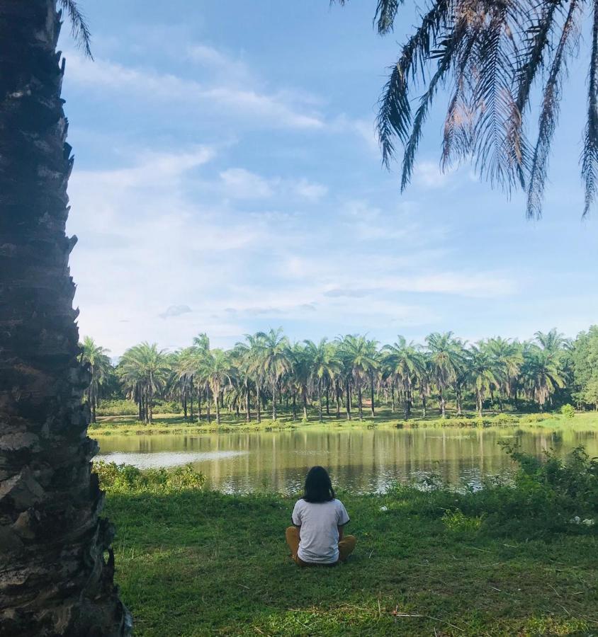 Palm Garden House Hotel Quang Tri Bagian luar foto