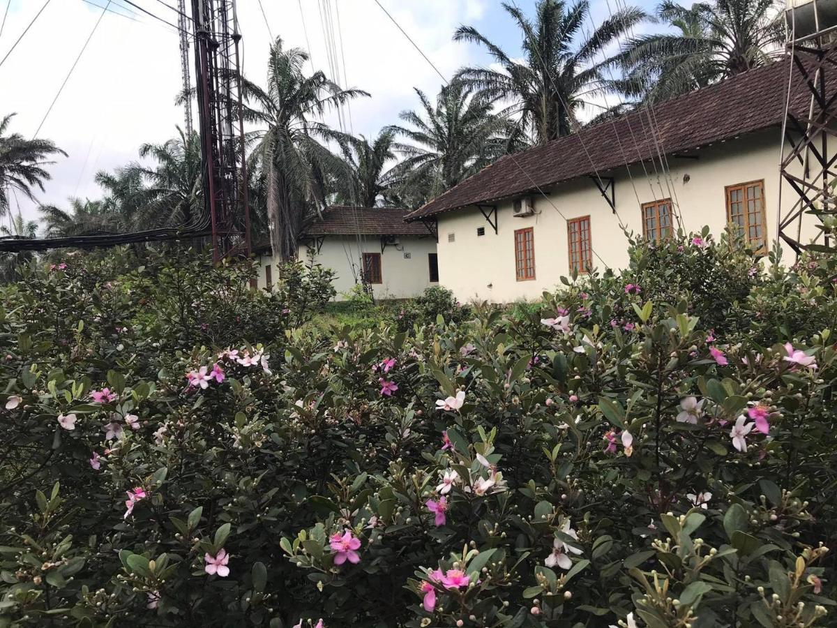 Palm Garden House Hotel Quang Tri Bagian luar foto