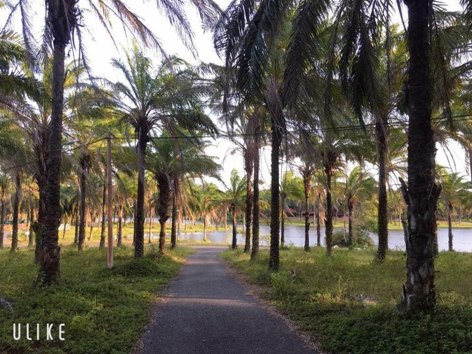 Palm Garden House Hotel Quang Tri Bagian luar foto