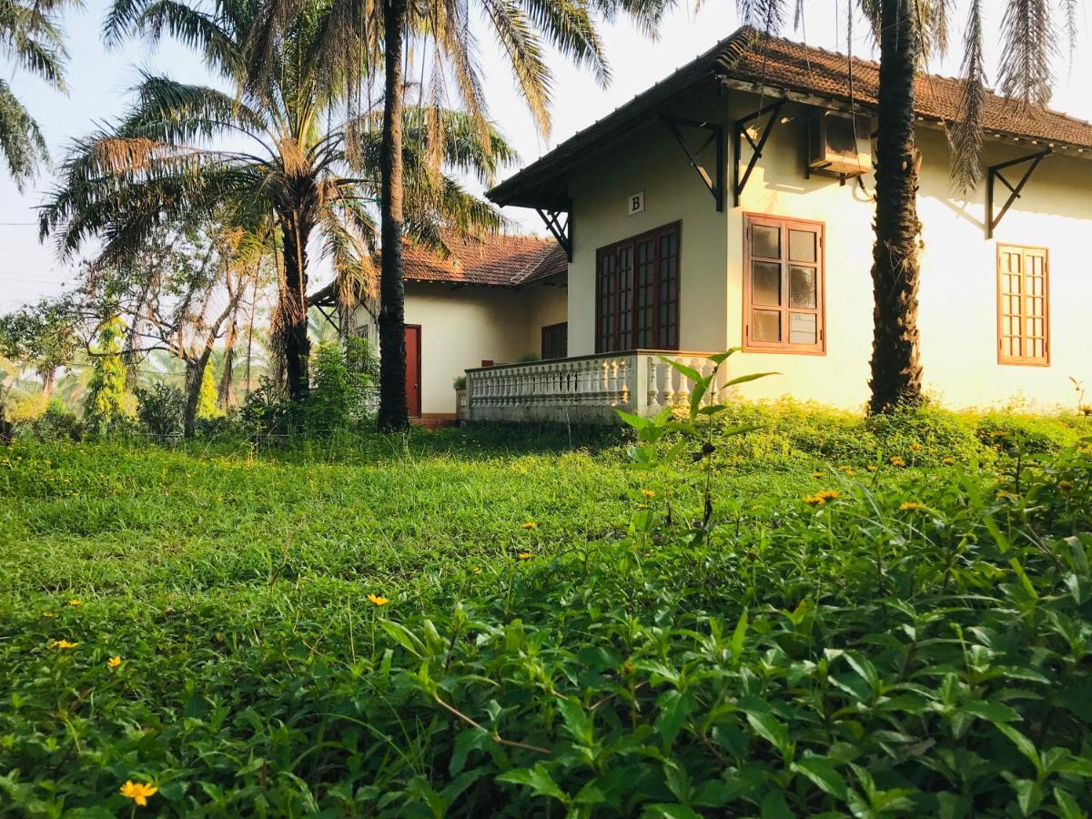 Palm Garden House Hotel Quang Tri Bagian luar foto